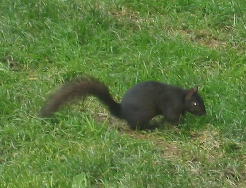 Doctors vs. Strength Coaches: A Difference in Perspective