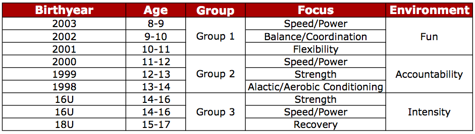 Developing A Youth In-Season Hockey Training Model