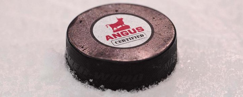 Ultimate Hockey Transformation Interview