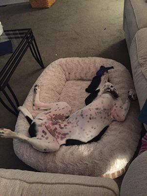 8 Simple Tips to Improve Your Sleep Quality