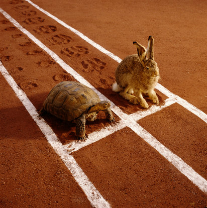 Sports Nutrition Tip: Slow and Steady Wins the Race