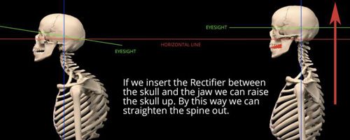 Sports Training Stuff You Should Read